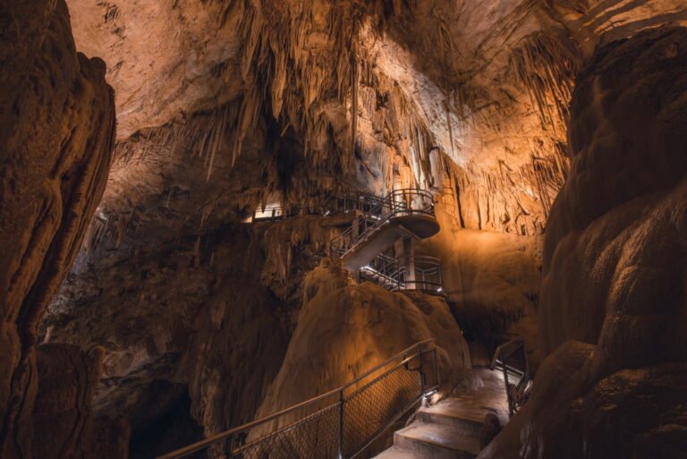 Interior of Hastings Caves, showing stalactites lit up for our day tour